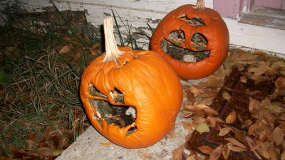 mushy rotting pumpkins
