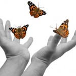 jane goodwin, scheiss weekly, butterflies