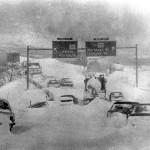 cars buried in snow