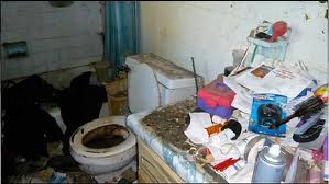 hoarder bathroom, addict, nutjob