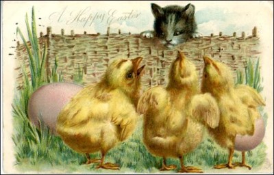 chicks, cat, Easter, devour, Scheiss Weekly