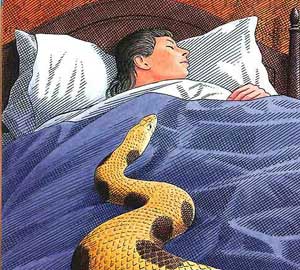 Speckled Band, snake in the bed