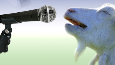 goats ducks pop oh rock
