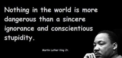 Martin Luther King Jr., stupidity
