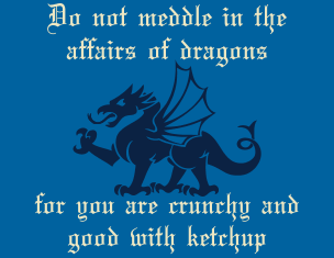 do-not-meddle-in-the-affairs-of-dragons